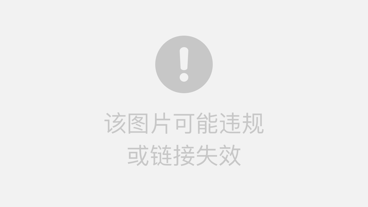 MSC货物跟踪查询入口及海运物流状态查询指南