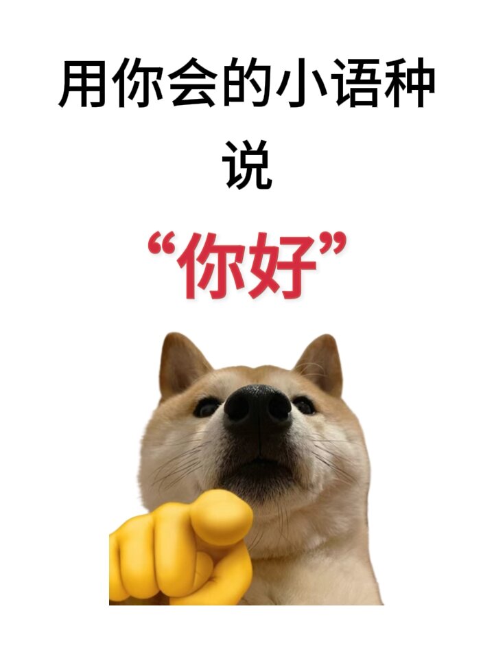 你说：